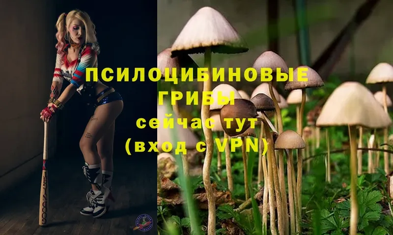 Псилоцибиновые грибы MAGIC MUSHROOMS  hydra ссылка  Звенигород 